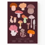 Affiche pour faire découvrir et reconnaître les champignons comestibles des bois
