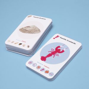 Apprendre-en-s'amusant-jeu-de-cartes-apprendre-la-classification-des-océans
