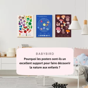 Préservez les abeilles et leur habitat avec des actions simples à la maison !