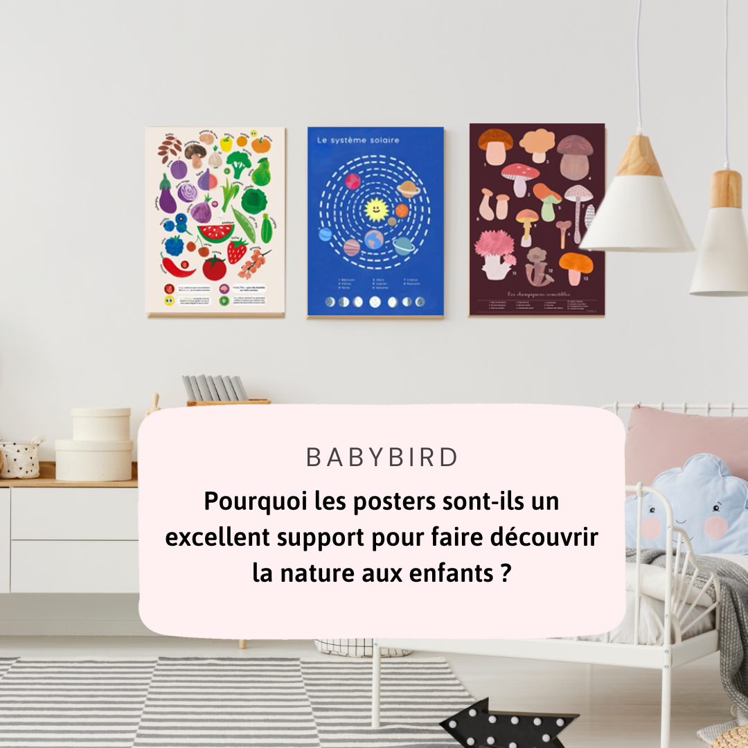 Pourquoi les posters sont-ils un excellent support pour faire découvrir la nature aux enfants ?