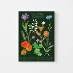 Affiche plantes melliféres, bons pour les abeilles