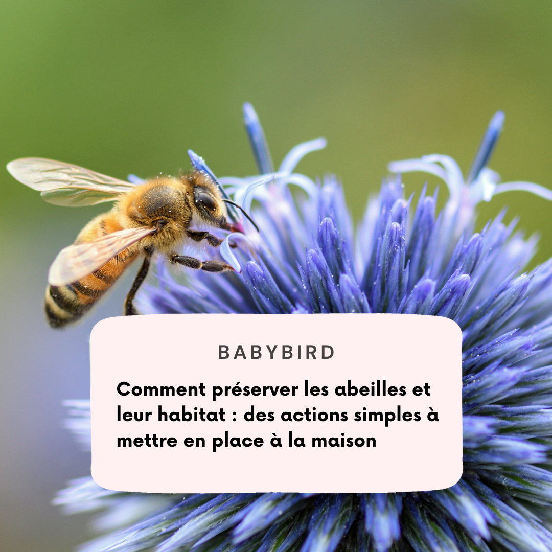 🌼🐝 Protégeons les abeilles et leur habitat ! 5 conseils pour préserver les abeilles 🌼🐝