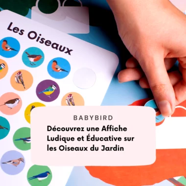 Pourquoi l’éducation à la nature est essentielle pour les enfants ?