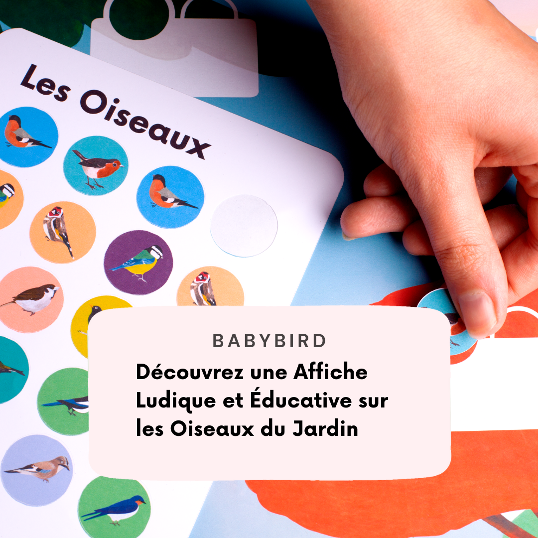 Affiche Ludique et Éducative sur les Oiseaux du Jardin : Parfaite pour l'Apprentissage en Famille et le Co-Enseignement à Domicile. Découvrez 10 Variétés d'Oiseaux Colorés et Encouragez l'Exploration Responsable de la Nature avec nos Autocollants Interactifs. Créez des Souvenirs Inoubliables en Observant et Identifiant les Oiseaux de Votre Jardin